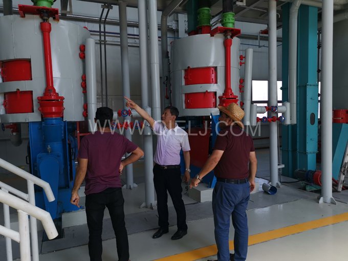 怎樣健康的選擇食用油？企鵝糧油機械為您簡單講述(圖2)